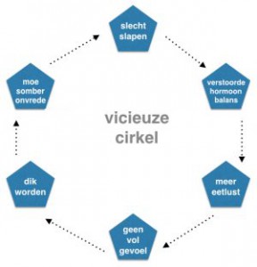 vicieuze-cirkel-slank-slaap-300x312